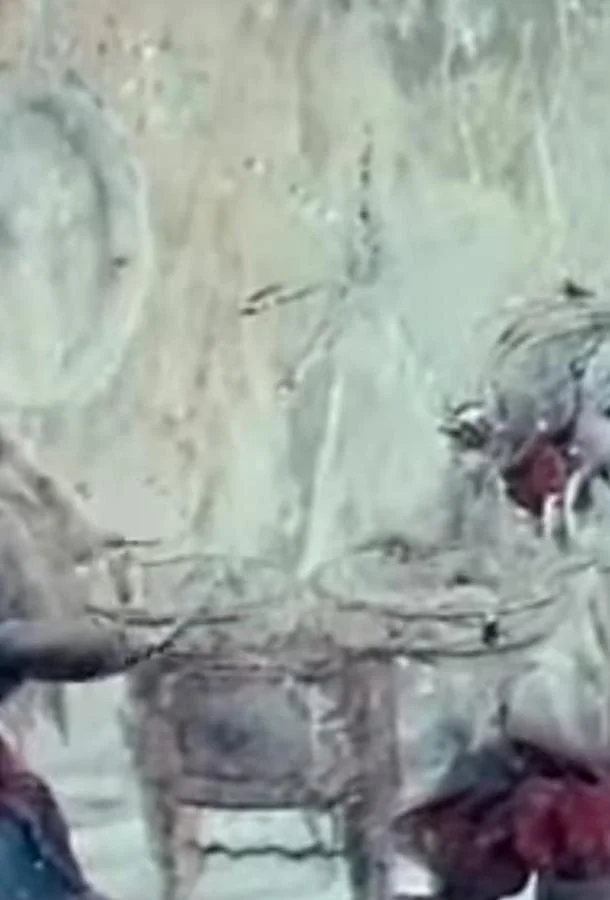 Новогодний ветер Мультфильм1975смотреть онлайн бесплатно