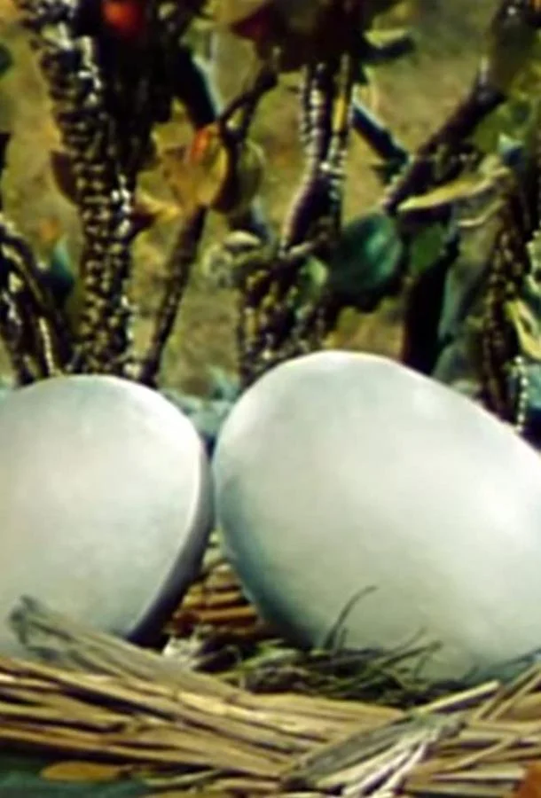 Два справедливых цыпленка (ТВ) Мультфильм1984смотреть онлайн бесплатно