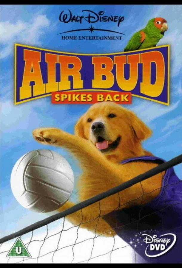 Король воздуха: Возвращение Фильм2003смотреть онлайн бесплатно