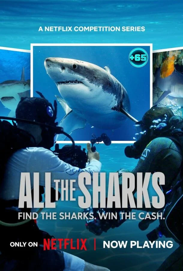 Все акулы Сериал2025смотреть онлайн бесплатно