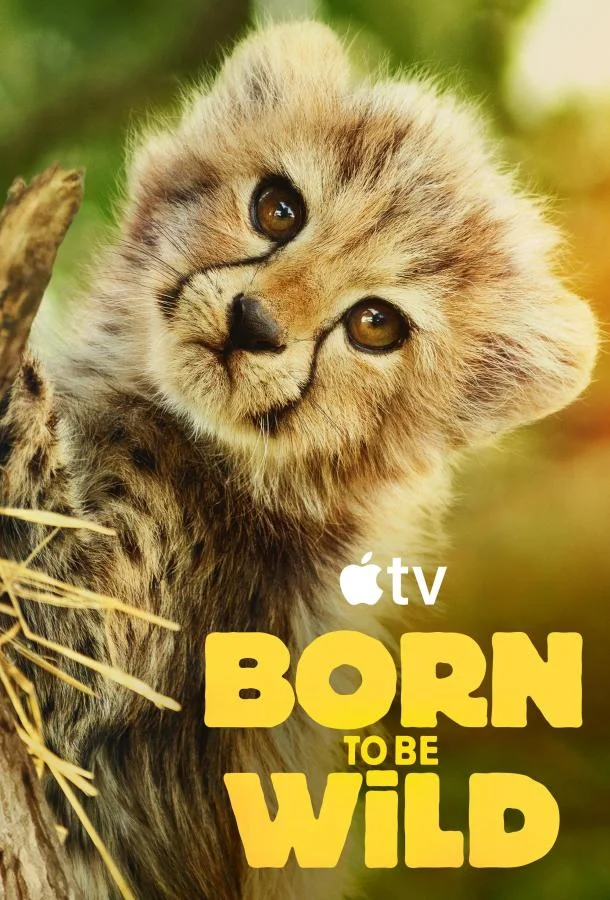 Возвращение в дикую природу ТВ шоу2025смотреть онлайн бесплатно